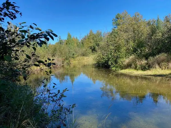 Lot 6 East Airport, Atlanta, MI 49709
