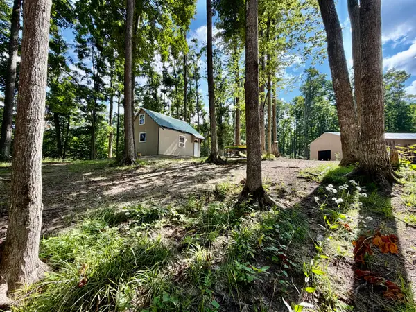 10.08 ac N Watkins Drive, Frederic, MI 49733