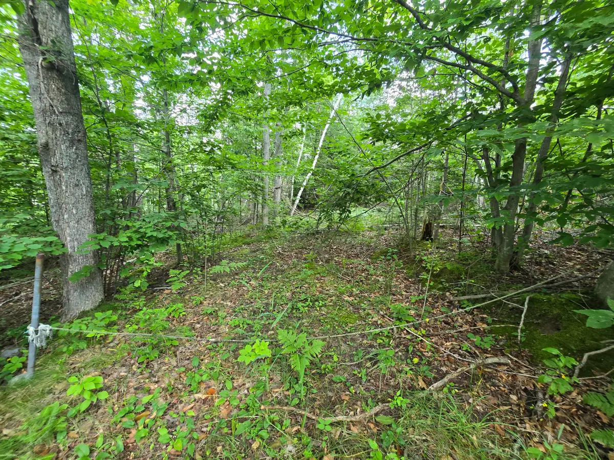 V/l Chippewa Trail Lot 62-64, Johannesburg, MI 49751 - #1
