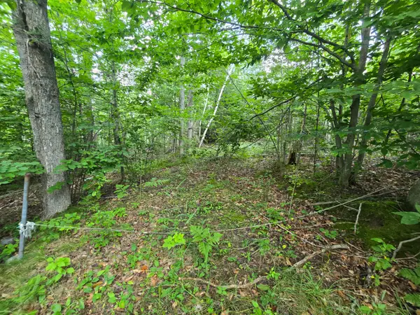 V/l Chippewa Trail Lot 62-64, Johannesburg, MI 49751