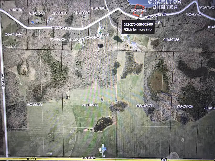 V/l Chippewa Trail Lot 62-64, Johannesburg, MI 49751 - #3