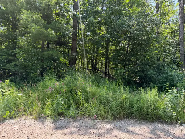 7881 Meridian Line Road, Johannesburg, MI 49751