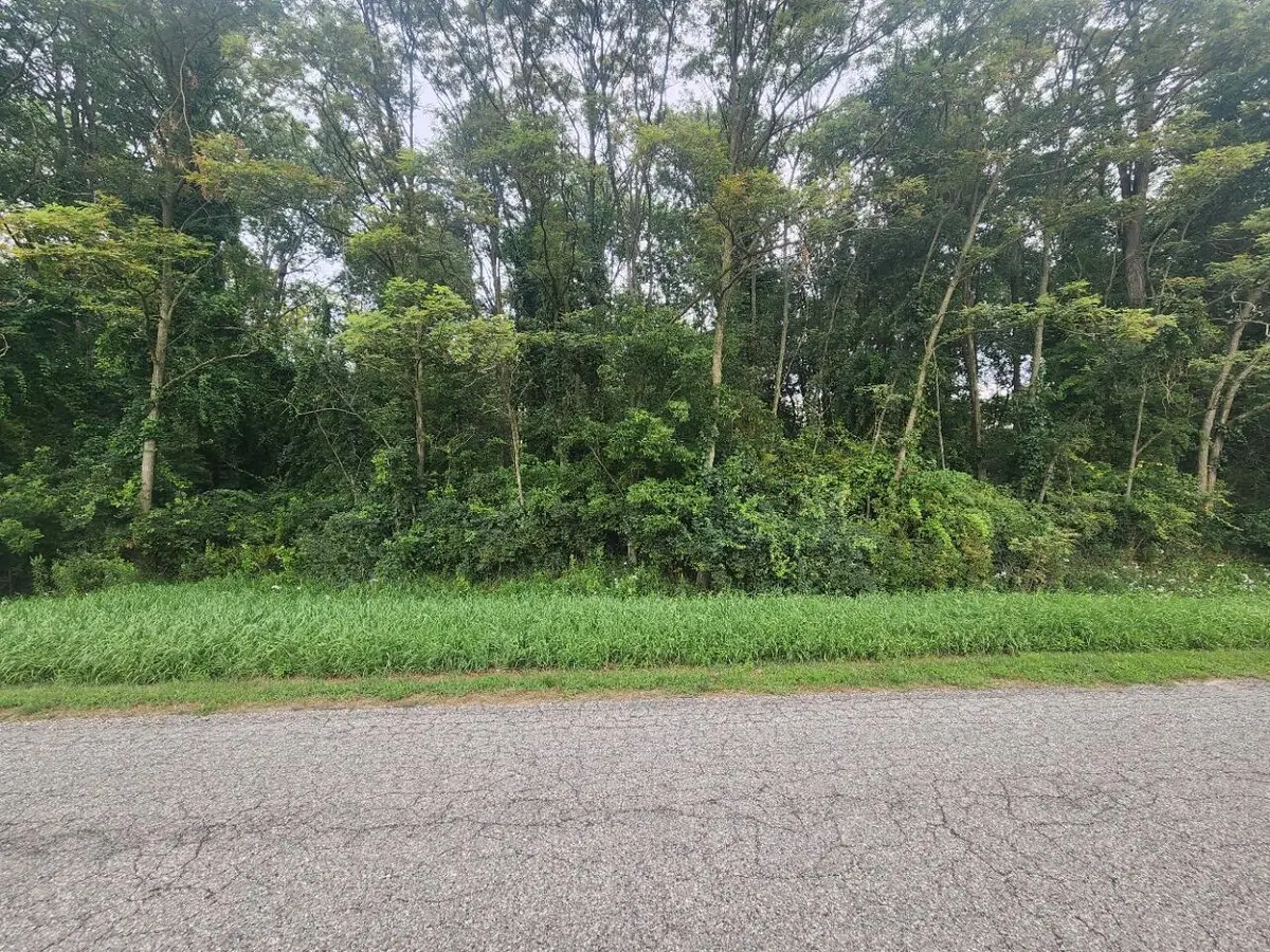 V/L 1.48AC Kerry Road, Onekama, MI 49675 - #1