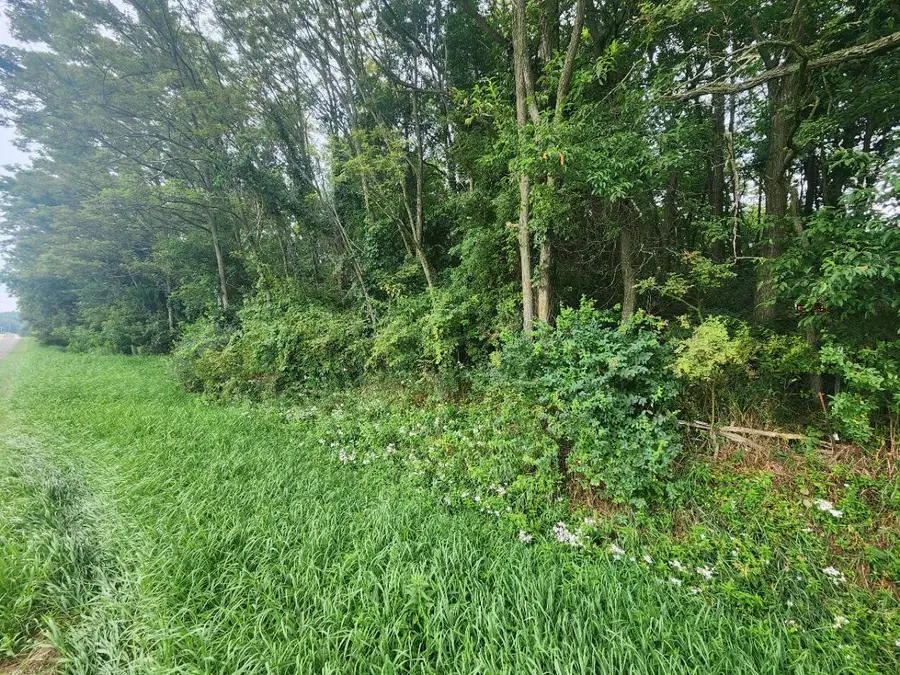 V/L 1.48AC Kerry Road, Onekama, MI 49675 - #3