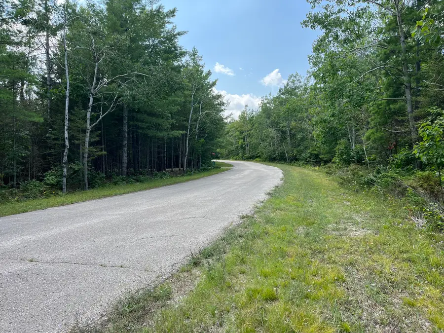 Lot 130 Wilderness Drive, Presque Isle, MI 49777 - #3