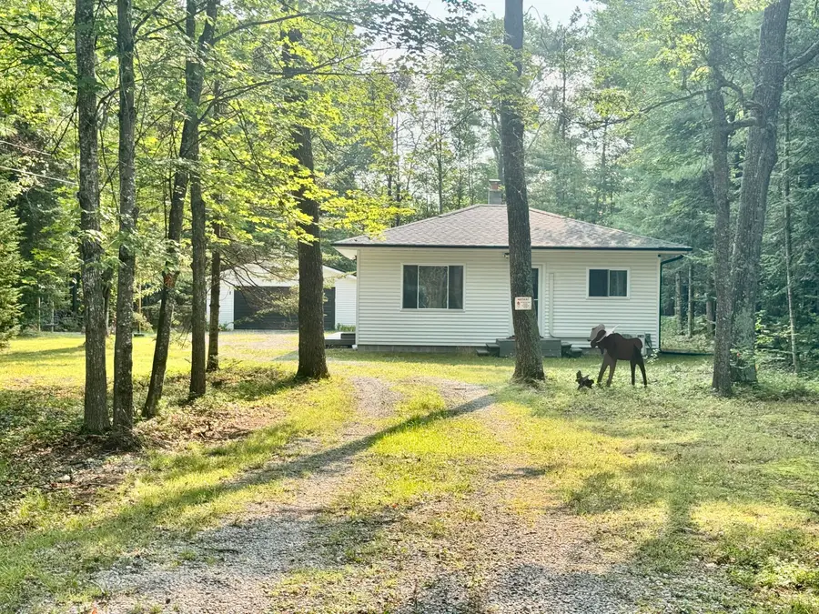 1071 Wildwood Trail, Luzerne, MI 48636 - #2