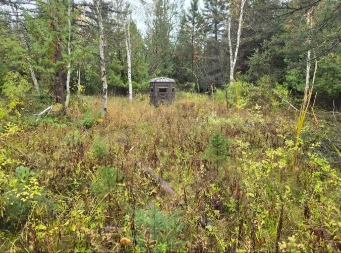 12546 Orcutt Highway, Millersburg, MI 49759 - #3