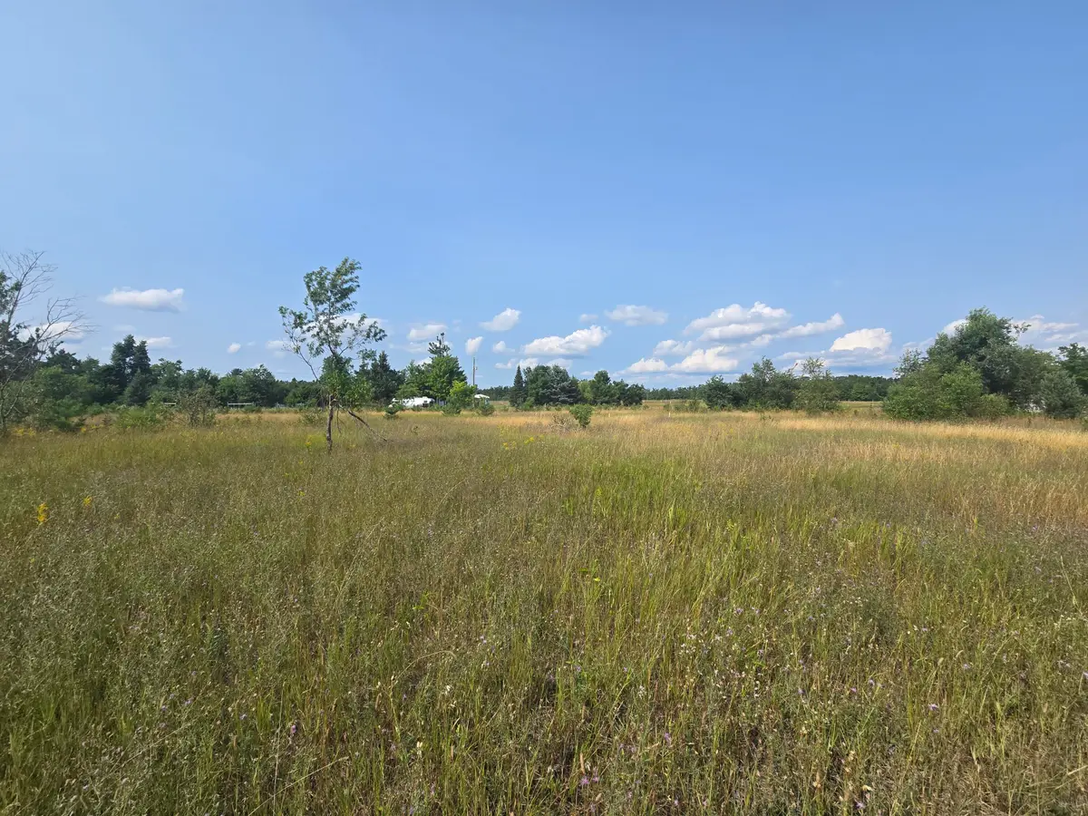 2915 Ordway Road, Gaylord, MI 49735 - #1