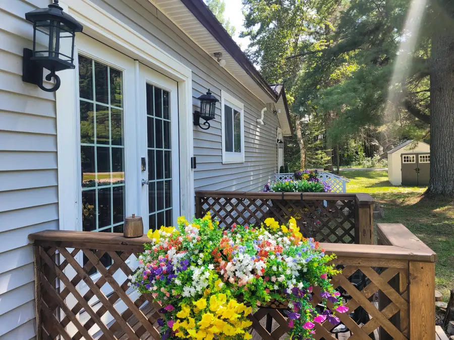 21492 Milligan Highway, Onaway, MI 49765 - #3