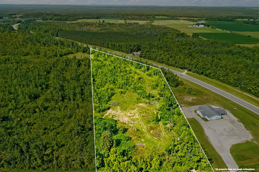 11956 Farrier Road, Hillman, MI 49746 - #3