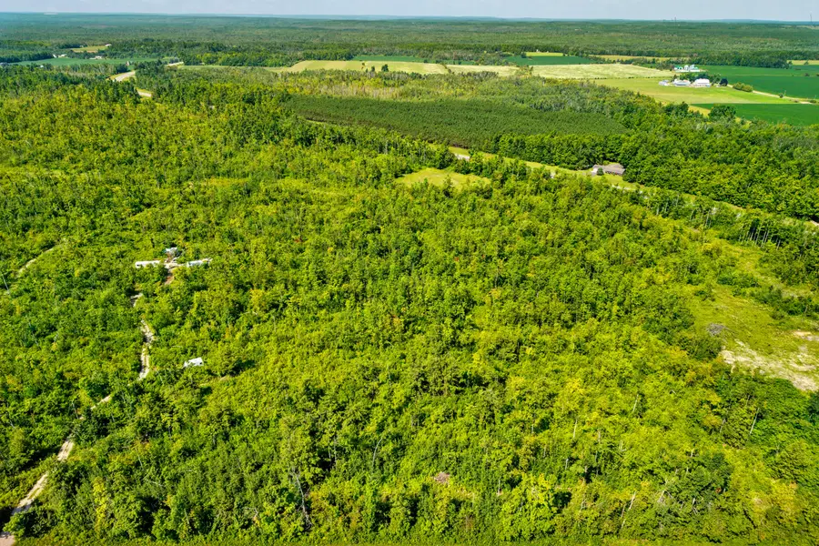 V/L 10 AC Farrier Road, Hillman, MI 49746 - #3