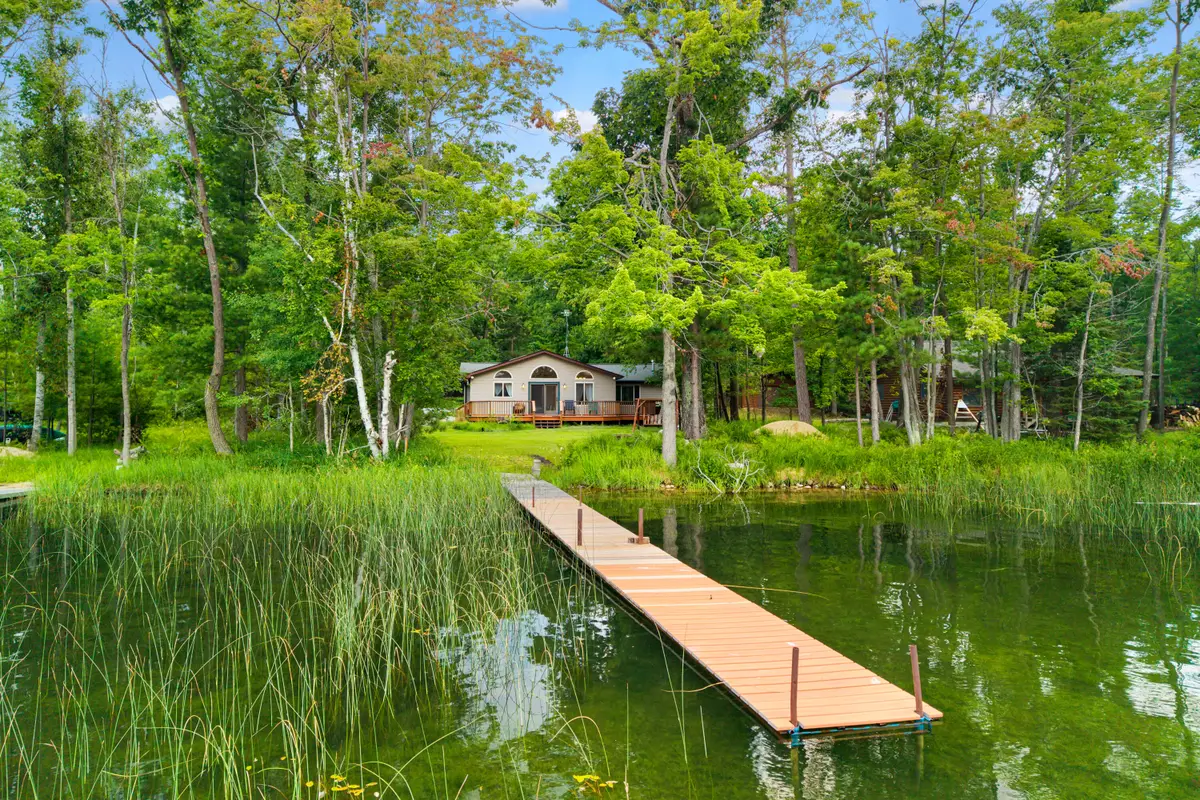 18975 Red Pine Drive, Hillman, MI 49746 - #1