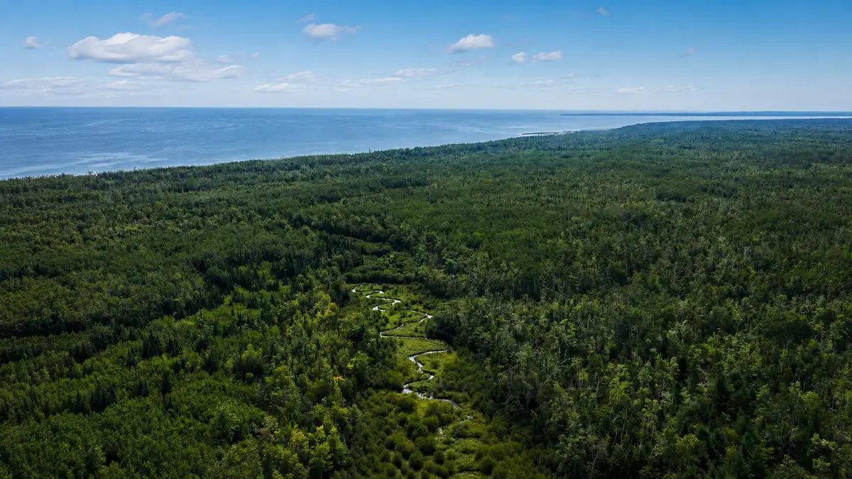 VL N Fork Road, Millersburg, MI 49759 - #1