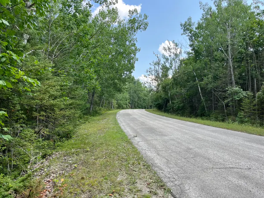 Lot 46 Renwick Circle, Presque Isle, MI 49777 - #3