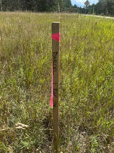 Parcel 1 Mccoy Road, Gaylord, MI 49735 - #3