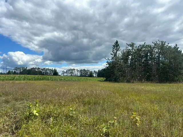 Parcel 2 W Mccoy Road, Gaylord, MI 49735 - #1