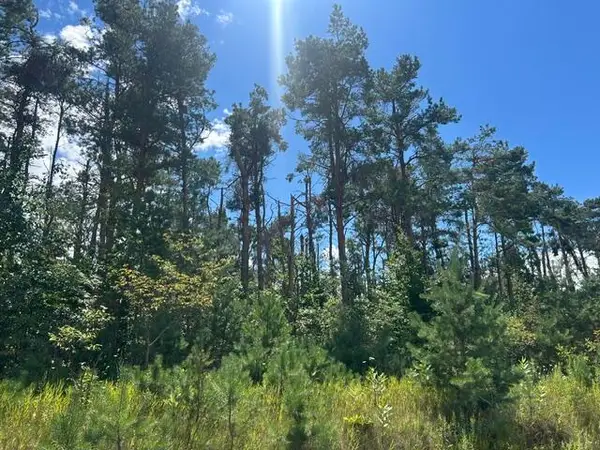 Parcel 6 W Mccoy Road, Gaylord, MI 49735