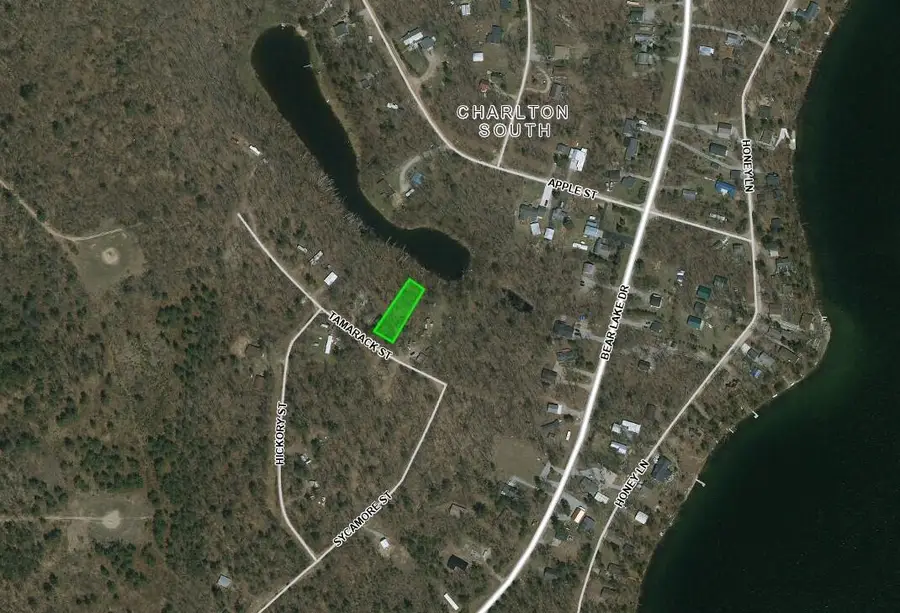 Lot 347 Tamarack Street, Johannesburg, MI 49751 - #2