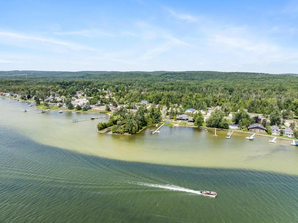 4444 Oden Road, Alanson, MI 49706 - #1