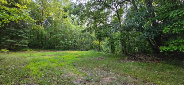 7925 Michigan 18, Gladwin, MI 48624