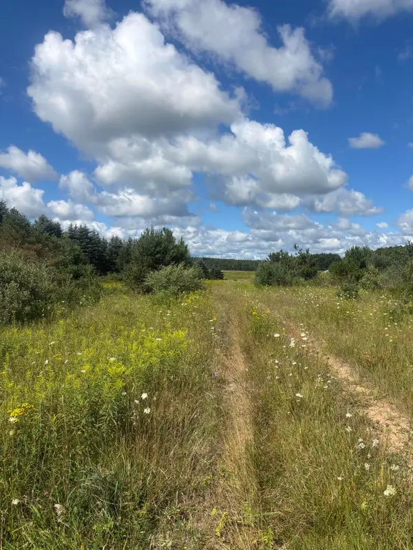 M-33, Onaway, MI 49765