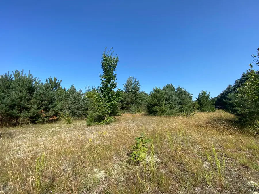 755 Meecher Road, Gaylord, MI 49735 - #3