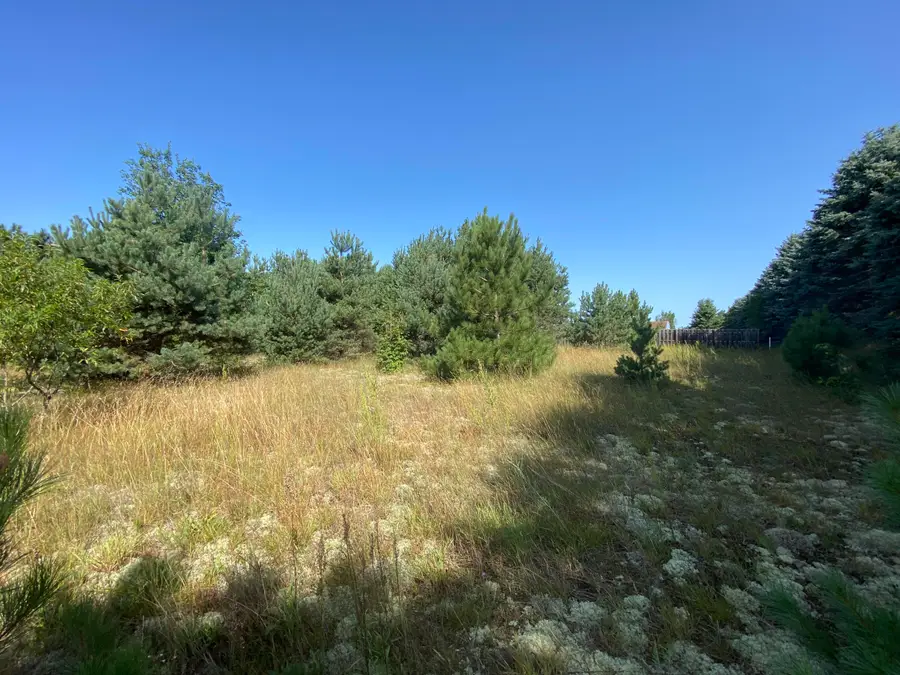791 Meecher Road, Gaylord, MI 49735 - #3