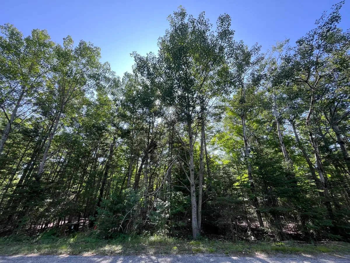 Lot 34 Renwick Circle, Presque Isle, MI 49777 - #1