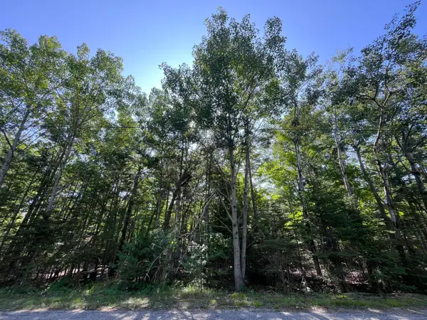 Lot 34 Renwick Circle, Presque Isle, MI 49777