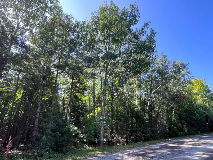 Lot 34 Renwick Circle, Presque Isle, MI 49777 - #3