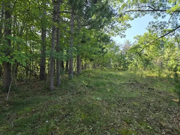 12457 Lake Emma Road, Hawks, MI 49743
