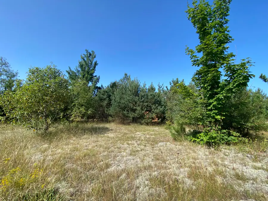 Lot 11 Meecher Road, Gaylord, MI 49735 - #3