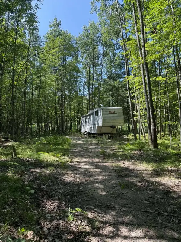 1128 N Hubbard Lake Road, Lincoln, MI 48742