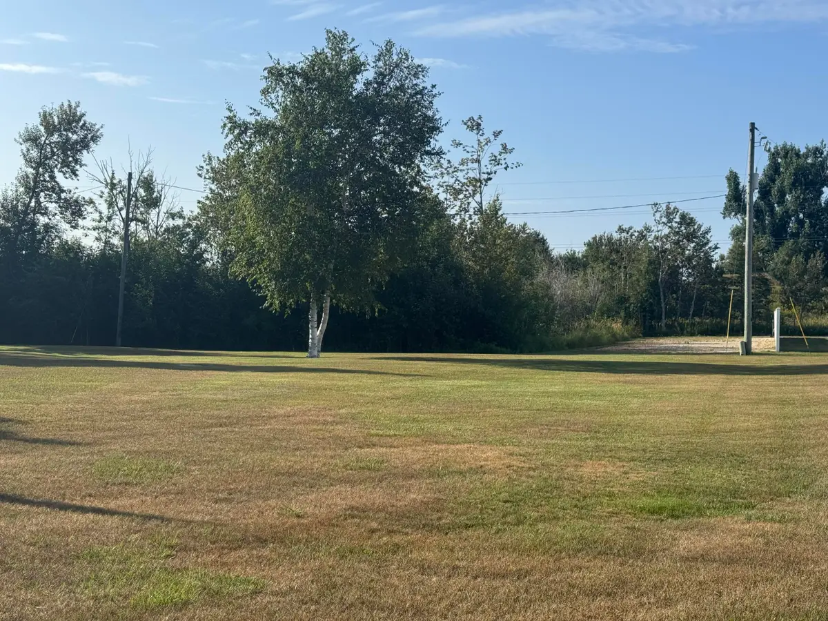 V/L .49 AC Cadillac Street, Mackinaw City, MI 49701 - #1