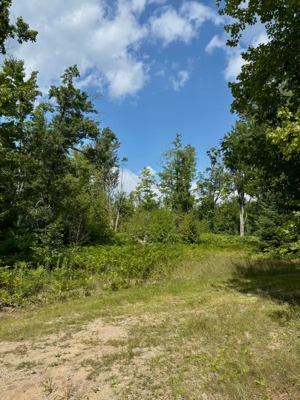 V/L 10AC W Townline Road, Grayling, MI 49738