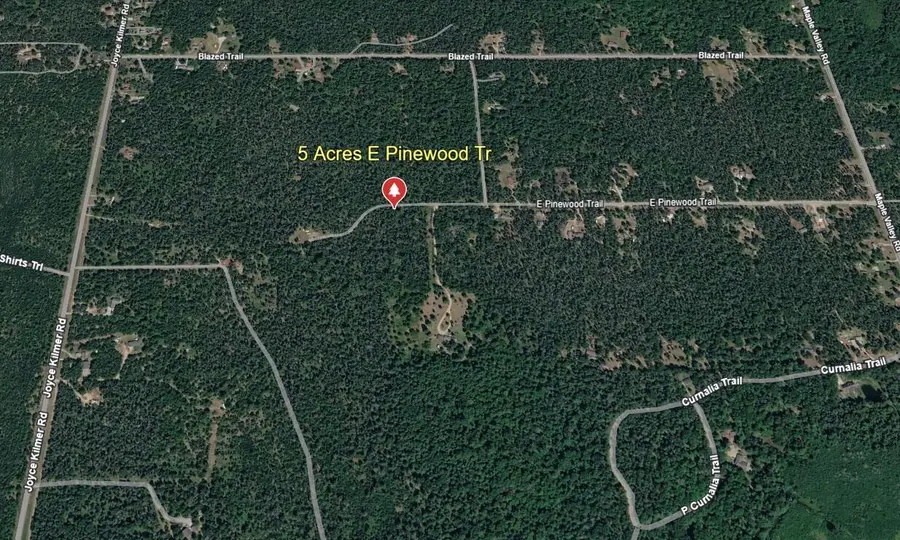 5 Acres E Pinewood Trail, Roscommon, MI 48653 - #2