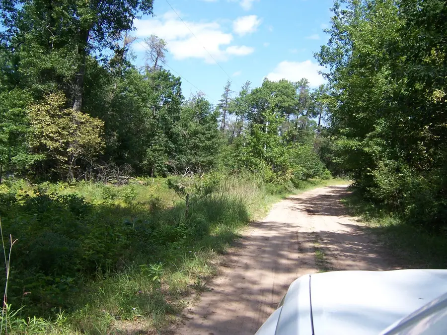 5 Acres E Pinewood Trail, Roscommon, MI 48653 - #3