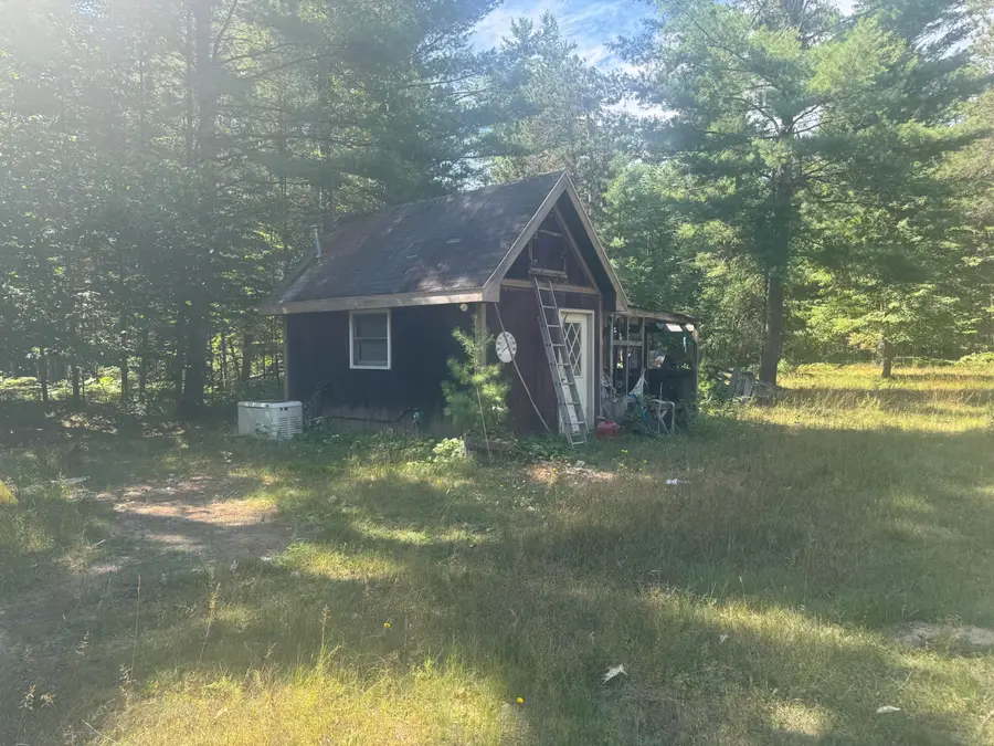 7833 Old Vanderbilt Road, Vanderbilt, MI 49795 - #3
