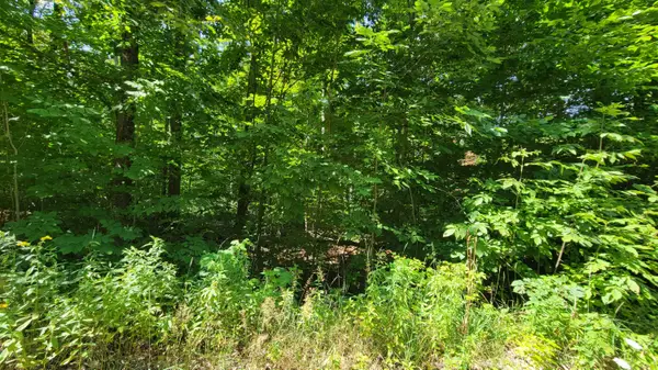Lot 223 Beechnut Ln, Wolverine, MI 49799