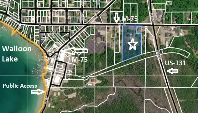 4422 Michigan 75, Walloon Lake, MI 49796 - #2