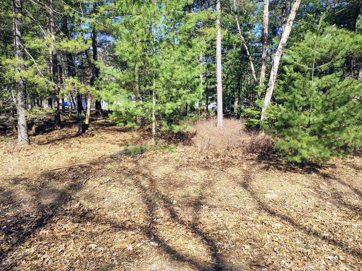 Lot 167 Deer Run Boulevard, Prudenville, MI 48651 - #1