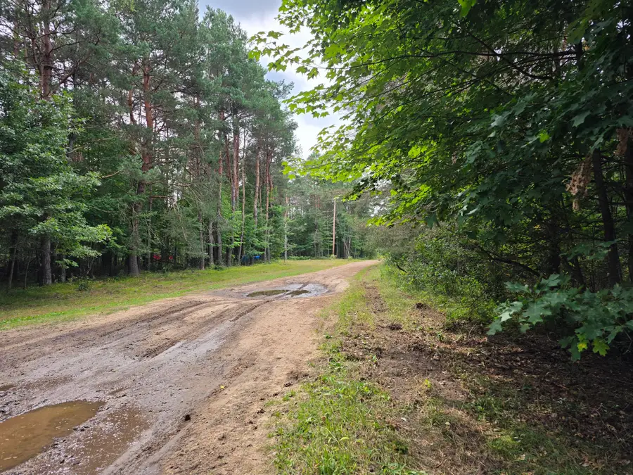 Williams Trail, Grayling, MI 49738 - #3