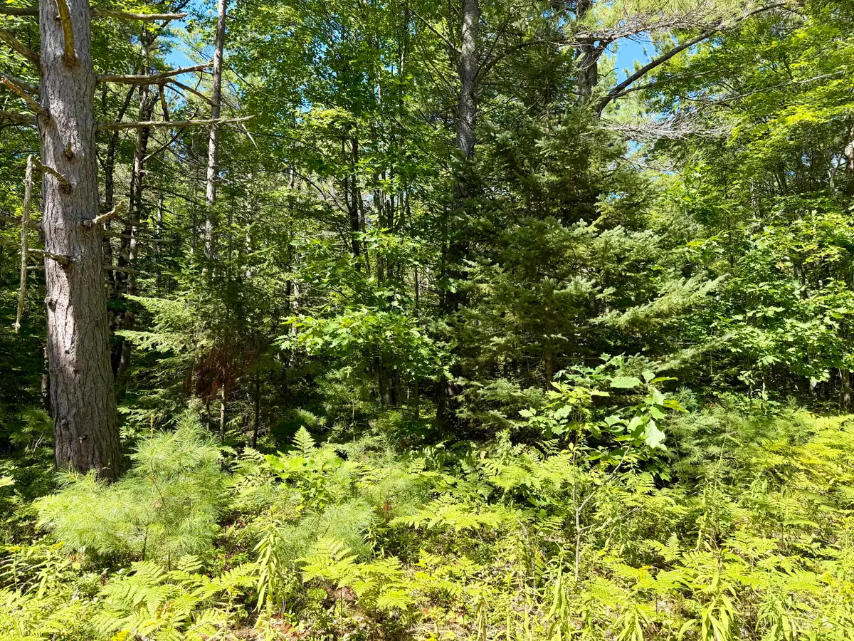 V/L Yvonne Avenue, Cheboygan, MI 49721 - #1