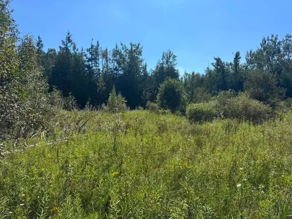 V/L 36.8AC Boilore Road, Alpena, MI 49707