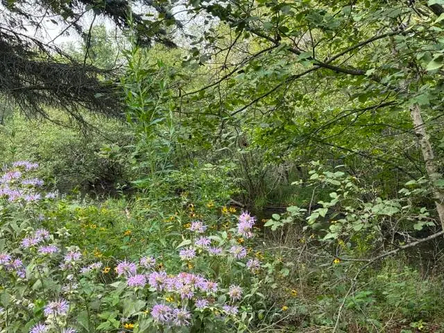 Lot 423 Luce, Houghton Lake, MI 48629 - #1