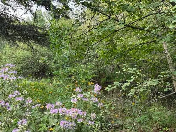 Lot 423 Luce, Houghton Lake, MI 48629