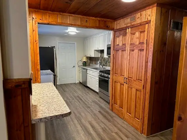 6252 Old Lake Road, Grayling, MI 49738 - #3