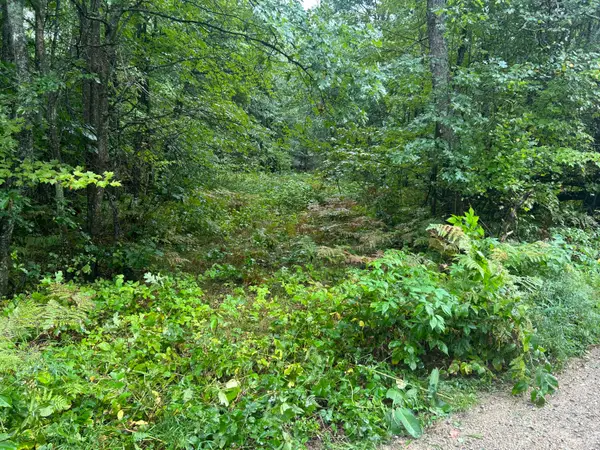 Lot 83 Homecrest Drive, Houghton Lake, MI 48629