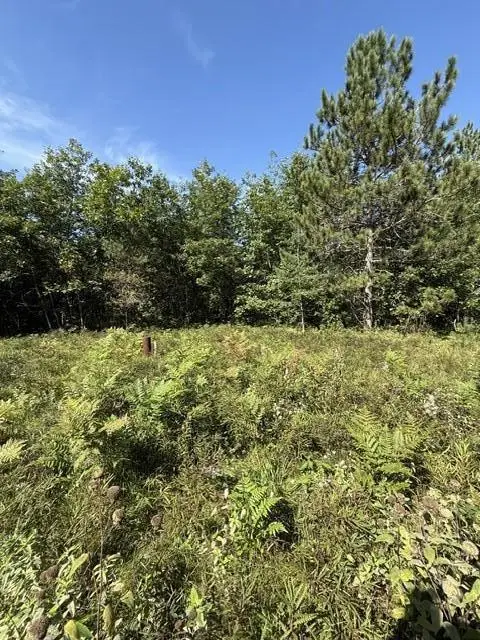 V/L 5 AC Timber Trail Court, Lewiston, MI 49756 - #1