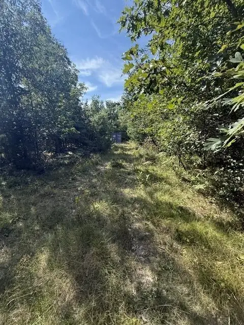 V/L 5 AC Timber Trail Court, Lewiston, MI 49756 - #3